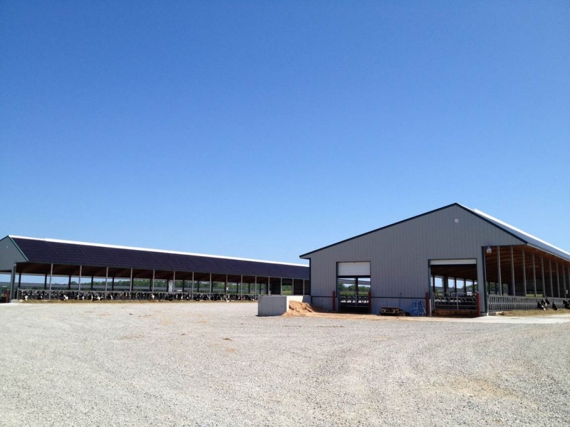 Agricultural Construction: Heifer Barns:  Finger Family Farms, Peshtigo, WI