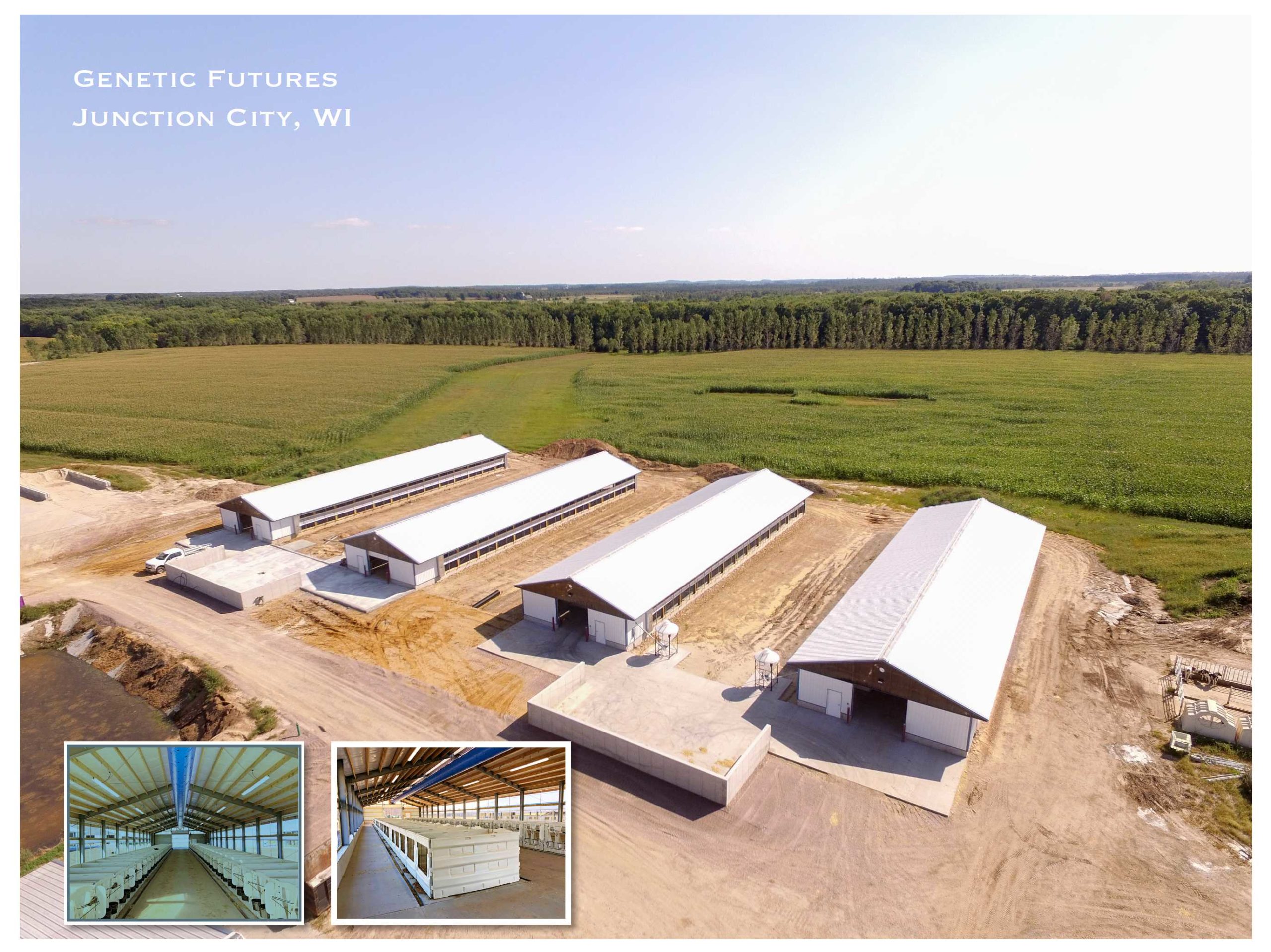 Agricultural Construction: Calf Barn: Genetic Futures, Junction City, WI