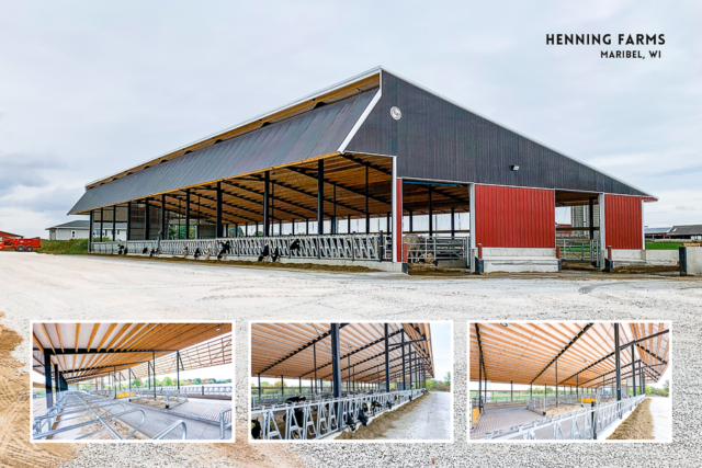 Agricultural Construction: Heifer Barn: Henning Farms, Maribel, WI