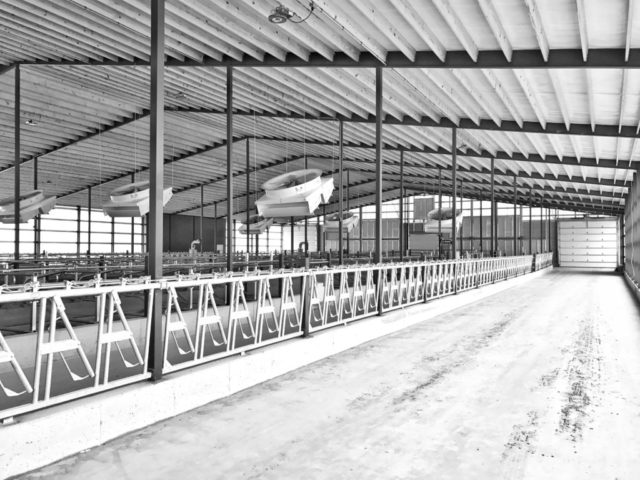 Agricultural Construction:  Freestall Barn:  Back 40 Acres, Pulaski, WI