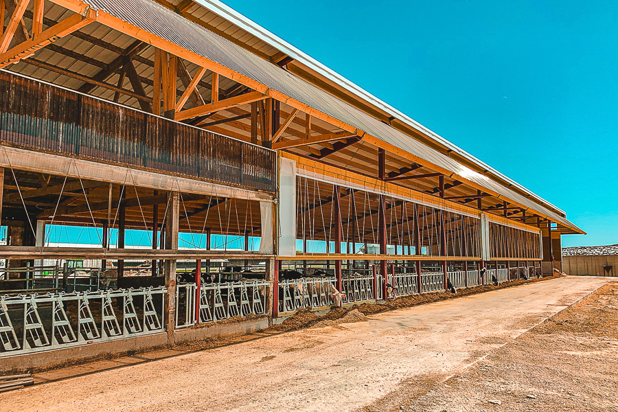 Orthland Dairy Heifer Barn Addition and Remodel