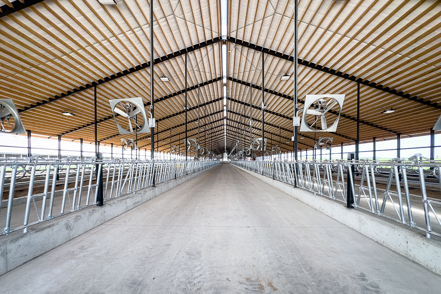 Freestall Barn Betley Family Farm