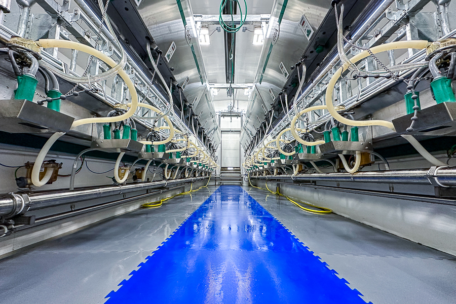 Milking Parlor